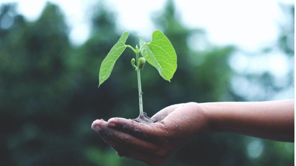 Las 10 palancas para conseguir un cambio preventivo transformacional